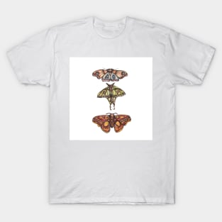 Moth Collection T-Shirt